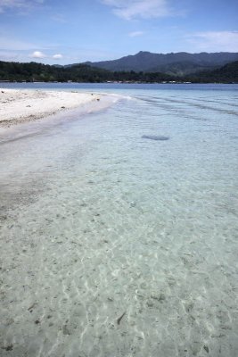 IMG_0974_resize.jpg