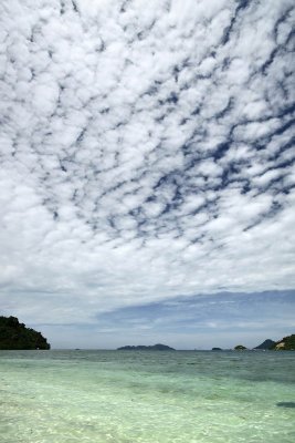 IMG_1005_resize.jpg