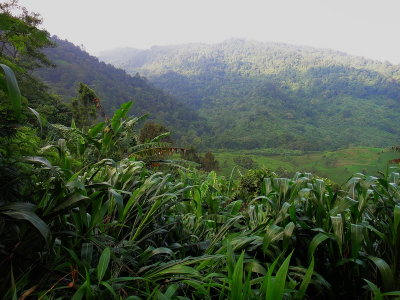 RA20008_resize.JPG