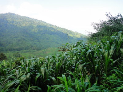 RA20009_resize.JPG