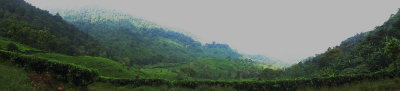 RA20010_resize.JPG