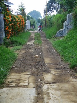 RA20056_resize.JPG