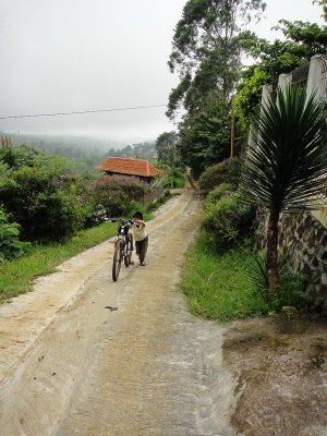 RA20057_resize.JPG