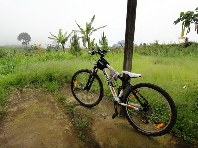 RA20068_resize.JPG