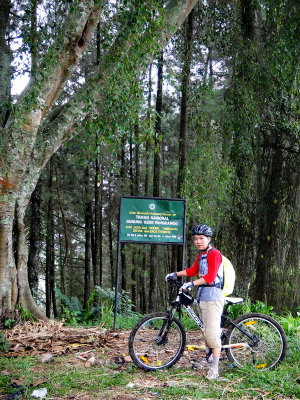 RA20082_resize.JPG