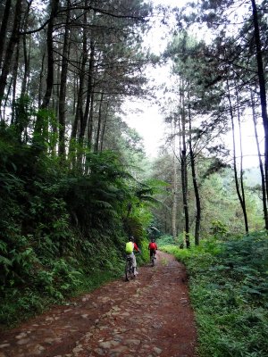 RA20084_resize.JPG