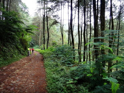 RA20085_resize.JPG