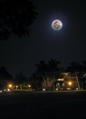 Moonlight at Lagoon Resort