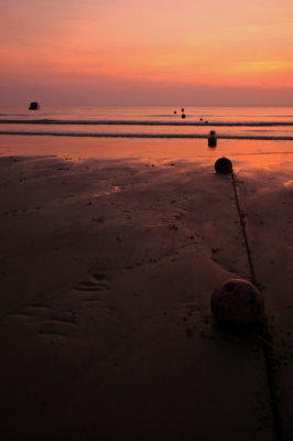 The pole to the sea