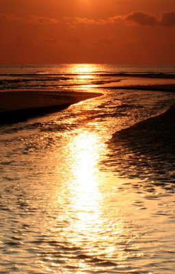 Into the sea