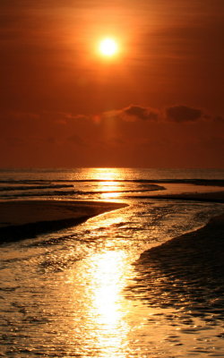 Into the sea 2