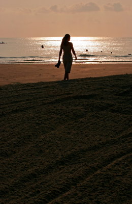 The silhoutte