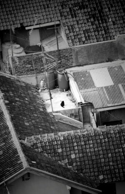 Center of interest