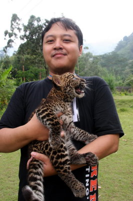 Baby panther