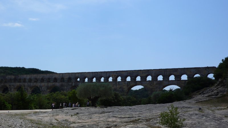 żwD