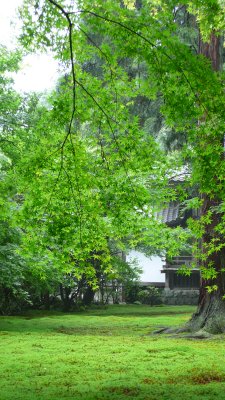 P1160727 - .JPG