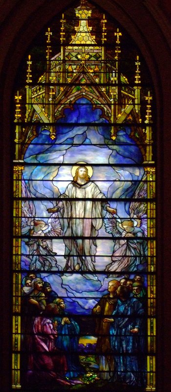 Tiffany Window