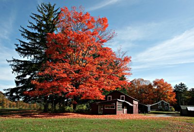 Near Verbank, NY