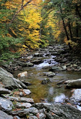 Bash Bish Creek II