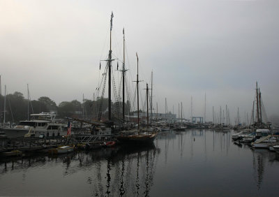 Foggy Camden Maine Harbor