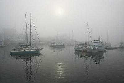 Early Morning at Camden Harbor