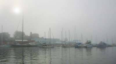 Morning Fog at Camden Harbor