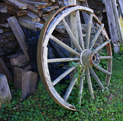 Wagon Wheel