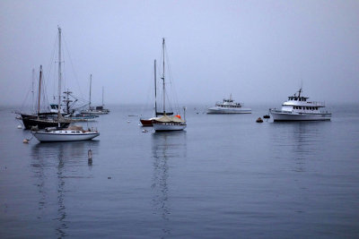 Boats off Fisherman's Wharf