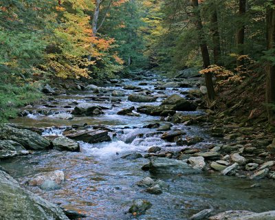 Bash Bish Creek