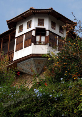 PELION  ...