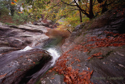 ZAGORA  -  PELION  ...