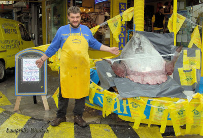 150  kg  ! ! !  MOON  FISH  ...