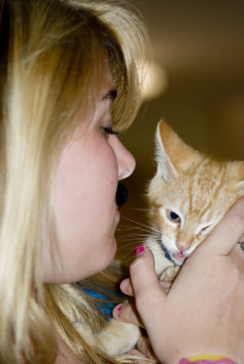 kitty and mustache love....??