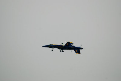 g1/24/624224/3/96978649.AtsNEXdA.jpg