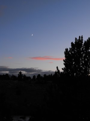 DSCF0252.JPG