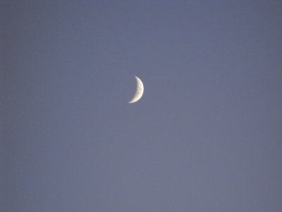 DSCF0253.JPG