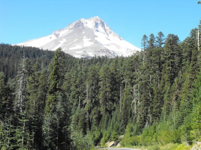 Mt. Hood