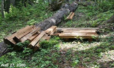 IMG_9466a.jpg