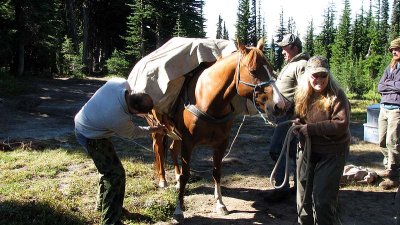 Loading up for pack out.jpg