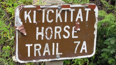IMG_3729.jpg