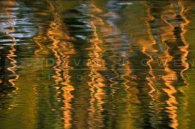 15297 Birch Lake reflection