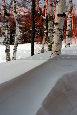 011105-17.1 Snowdrift curve