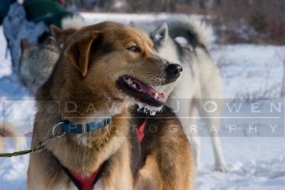 020406-047 Cajun