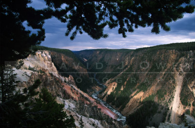 12416 Grand Canyon of the Yellowstone