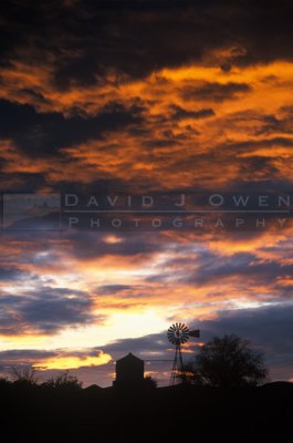13902 Windmill at sunrise