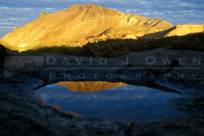 11813 Colorado Canyon pool