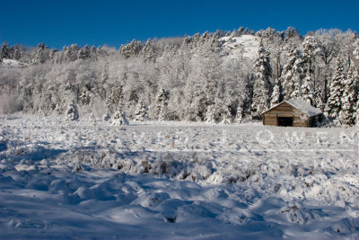 010107-015 Old barn on Hwy 88.jpg