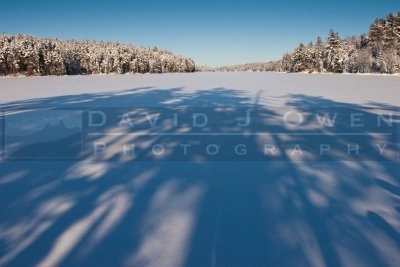 010107-044 Tree shadows on Slim Lake.jpg