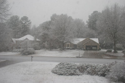 snow1.JPG