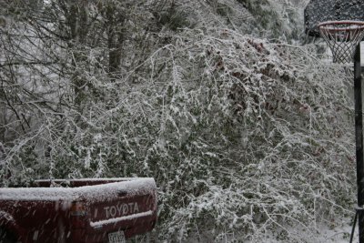 snow4.JPG